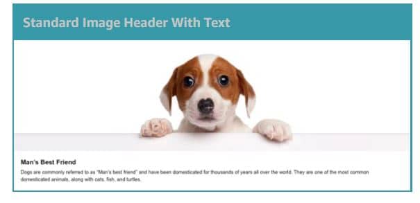 screenshot of standard image header with text module