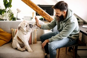 Young bearded man and his dog giving high five to one another