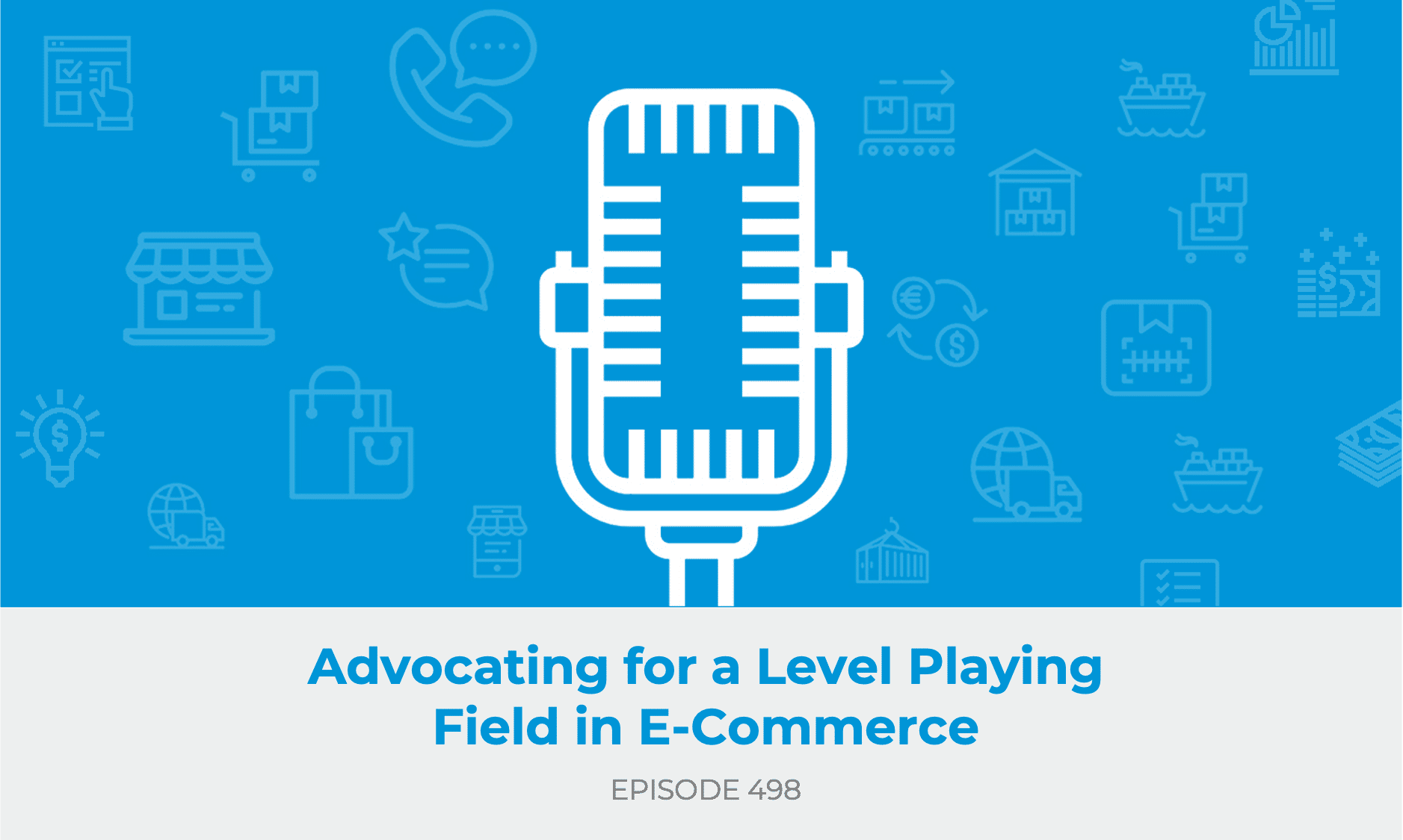 E498: Advocating for a Level Playing Field in E-Commerce