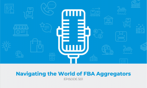 E501: Navigating the World of FBA Aggregators