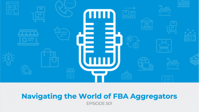 E501: Navigating the World of FBA Aggregators