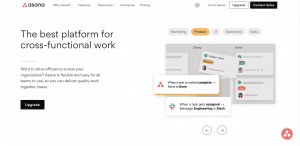 asana home page