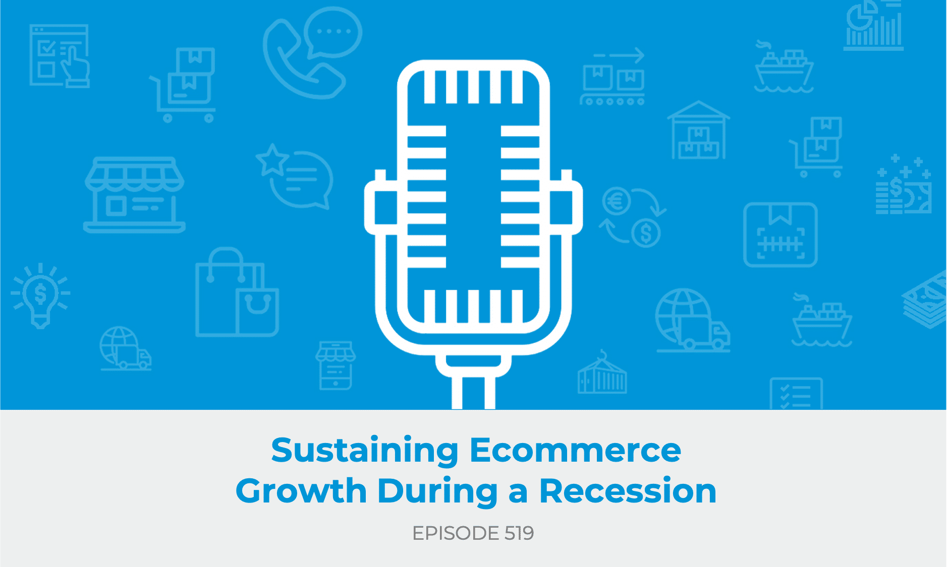 E519: Sustaining Ecommerce Growth During a Recession