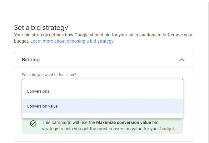 choosing the bid strategy of a Google Ad.