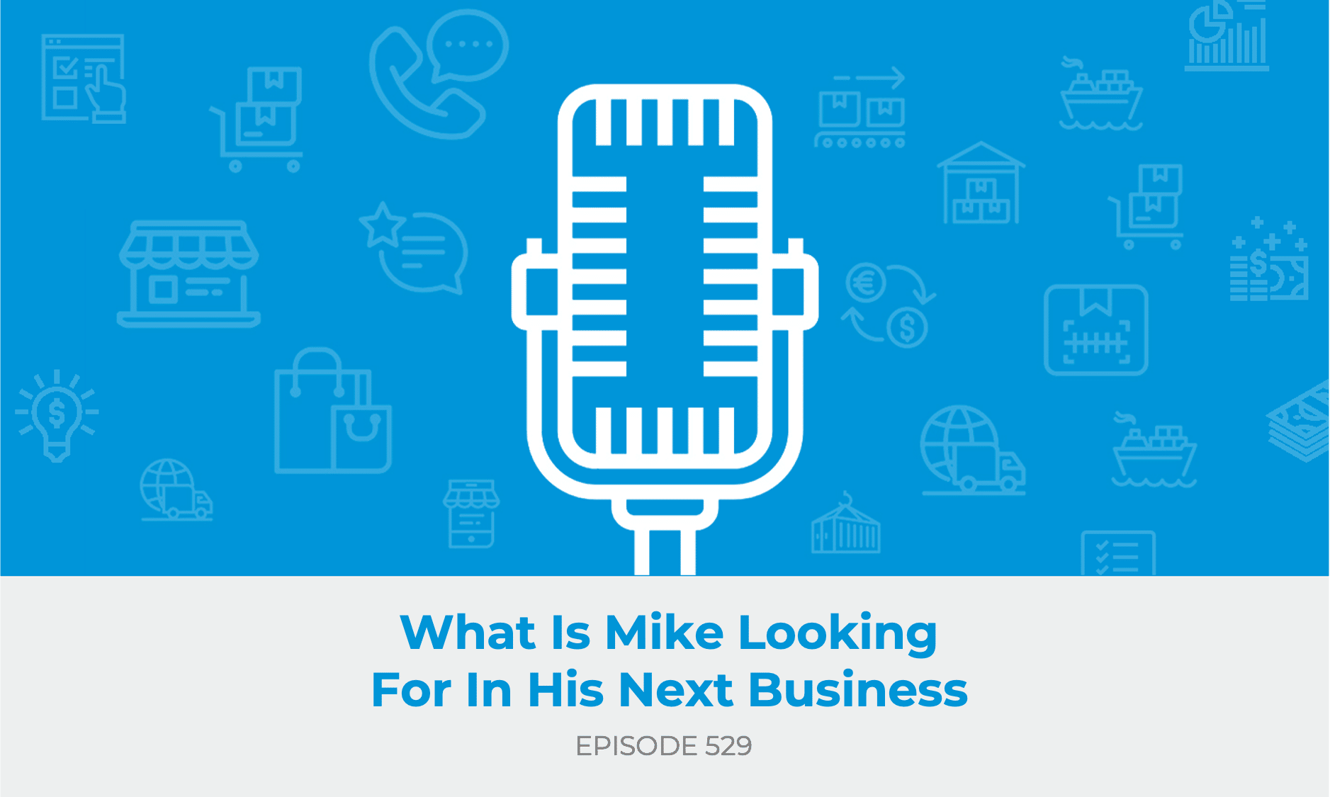 E529: What Is Mike Looking For In His Next Business?
