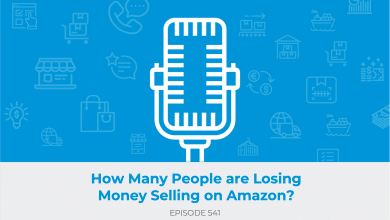 E541: How Many People are Losing Money Selling on Amazon?