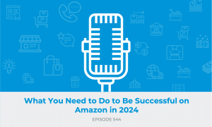 E544: What You Need to Do to Be Successful on Amazon in 2024