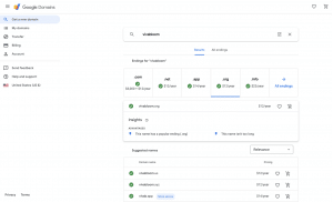 picking-website-domain-name-with-google-domains