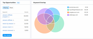 keyword overlap semrush