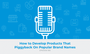 E593: How to Develop Products That Piggyback On Popular Brand Names