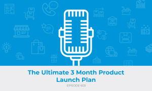E603: The Ultimate 3 Month Product Launch Plan