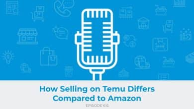 E615: How Selling on Temu Differs Compared to Amazon