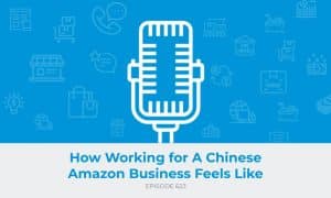 E623: How Working for A Chinese Amazon Business Feels Like