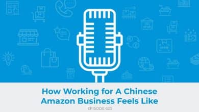 E623: How Working for A Chinese Amazon Business Feels Like