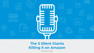 E638: The 5 Silent Giants Killing it on Amazon