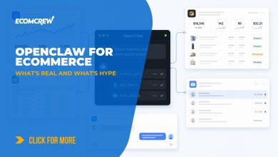 OpenClaw For Ecommerce article cover image.