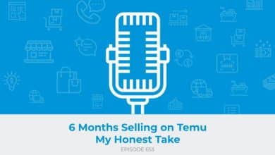 E653: 6 Months Selling on Temu - My Honest Take
